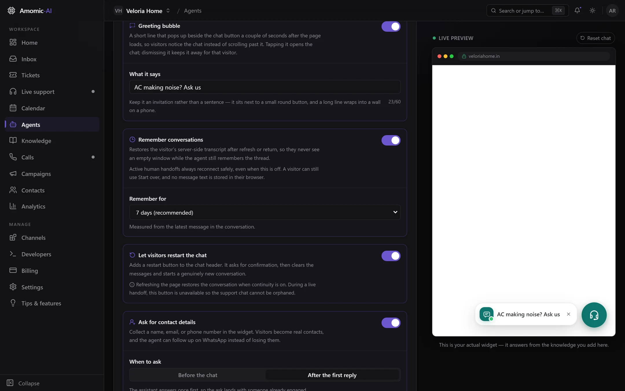The Greeting bubble, Remember conversations (on, Remember for 7 days recommended) and Let visitors restart the chat (on) settings