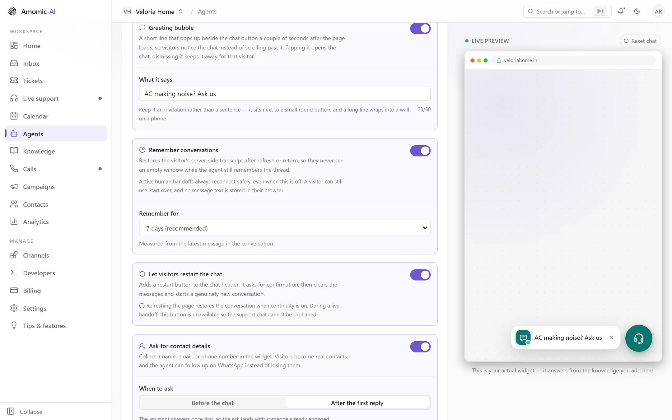 The Greeting bubble, Remember conversations (on, Remember for 7 days recommended) and Let visitors restart the chat (on) settings